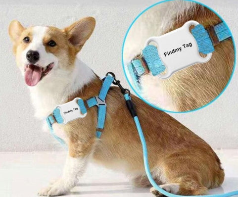 GPS Pet Tracker Collar